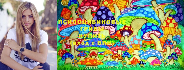 PSILOCYBIN Беломорск